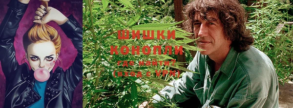 прущая мука Михайловка