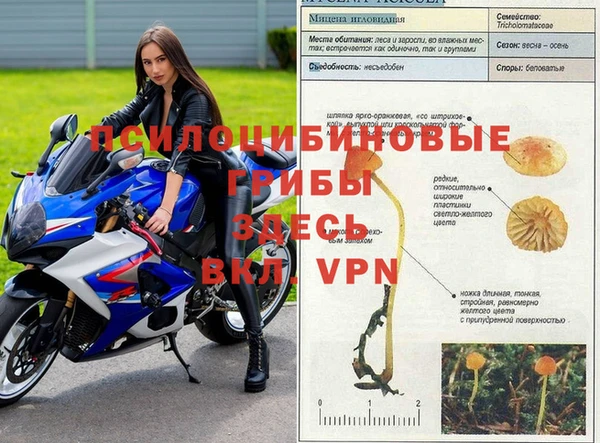 дурь Михайловск