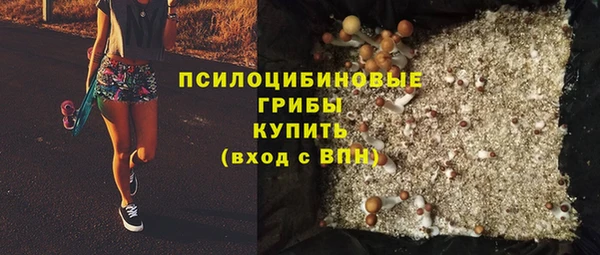 ПСИЛОЦИБИНОВЫЕ ГРИБЫ Надым
