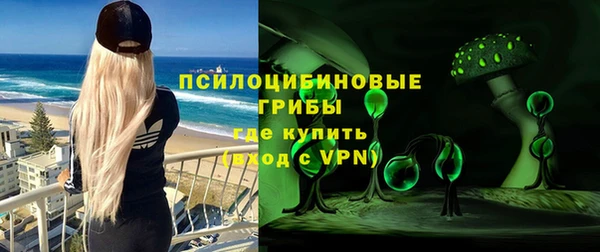 ПСИЛОЦИБИНОВЫЕ ГРИБЫ Надым