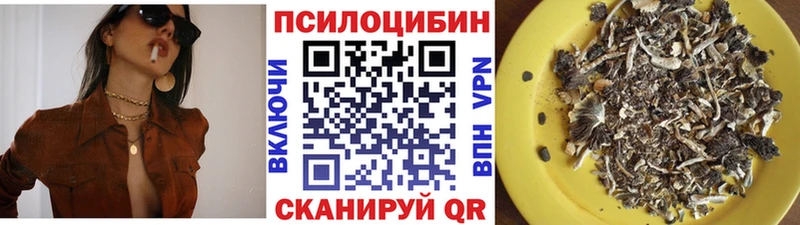 Галлюциногенные грибы Psilocybe  Купить закладки  Ишимбай 